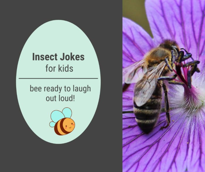 The Best Bug And Insect Jokes For Kids | Funny and Printable The Best Bug And Insect Jokes For Kids | Funny and Printable